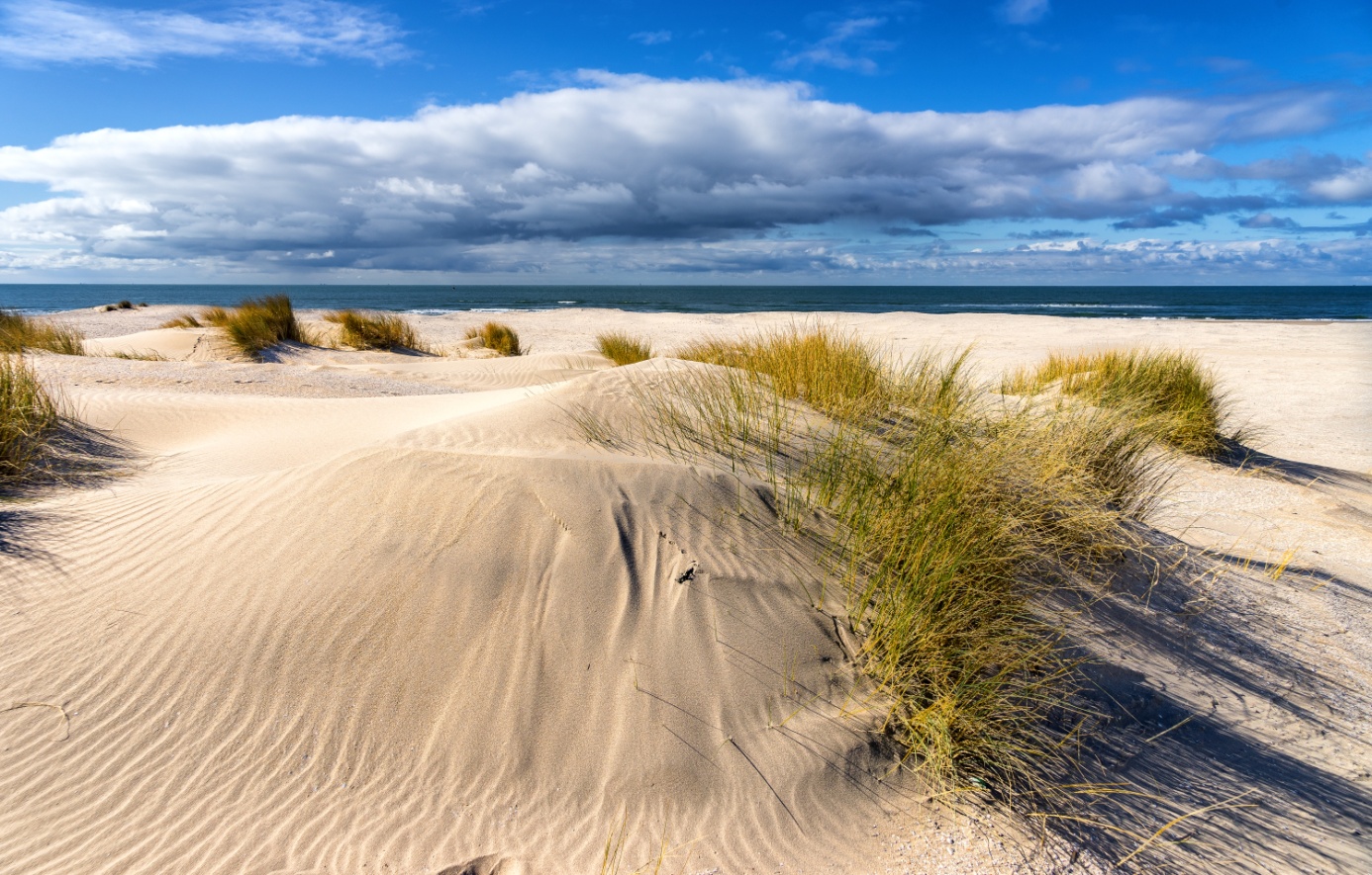 empty-beaches-spring.jpg